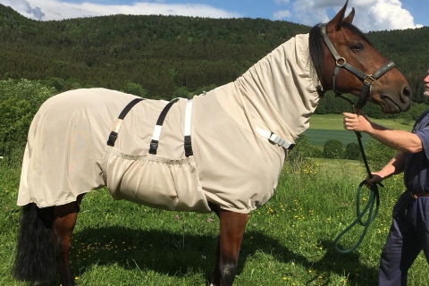 Lusitano