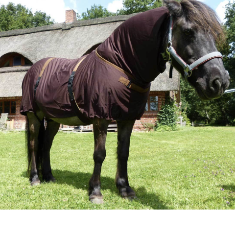 EINHORN eczema blanket  "classic", brown with optional extra belly belts