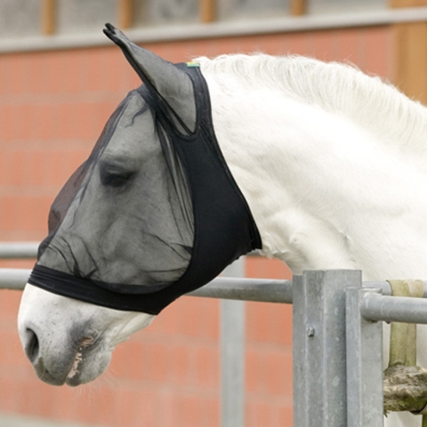 Fly-mask "elastic"