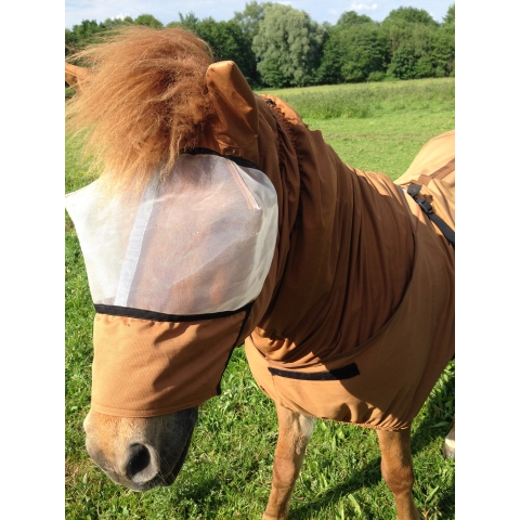 Icelandic horse