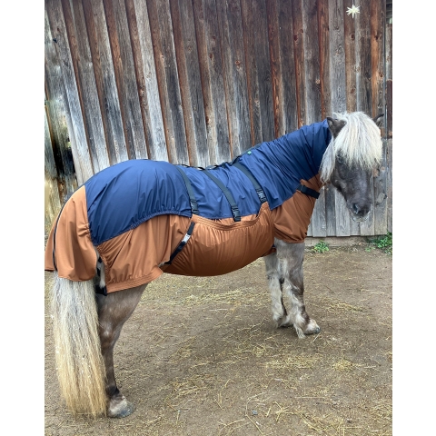 Isländer mit Regendecke